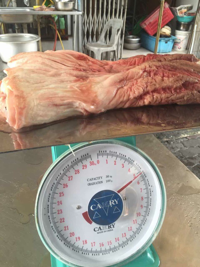 渔民捕获一条240斤龙胆石斑鱼,900斤巨无霸龙胆石斑鱼