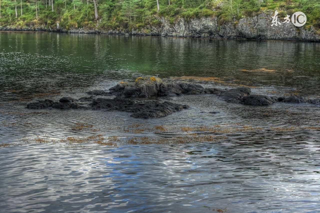 一眼相识一世相忘,一时相识一世相忘图片