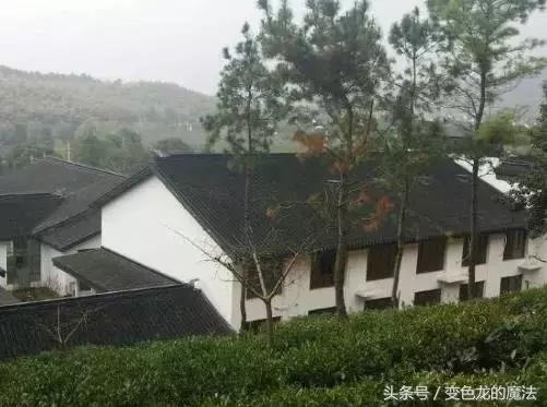 苏州市吴中旺山九龙潭旅游指南,苏州旺山风景区旅游攻略一日游