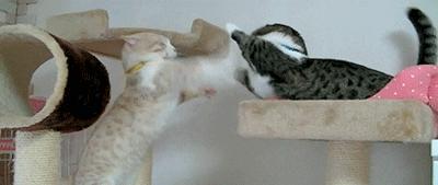 关于小明的搞笑高智商笑话,关于小明的笑话大全笑破你的肚子