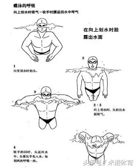 海豚跳跃式泳姿教学,海豚式泳姿陆上练习