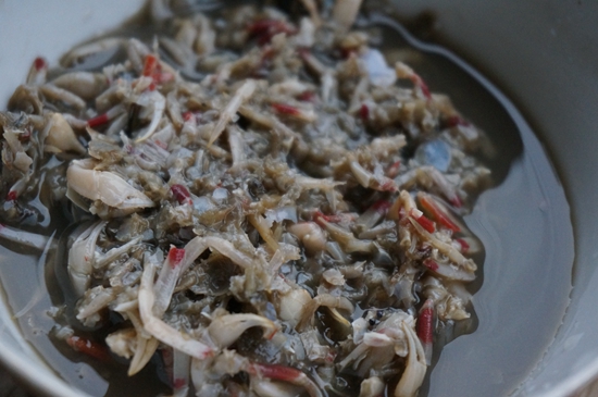 2900万年前的螃蟹,3500万年前的石头螃蟹