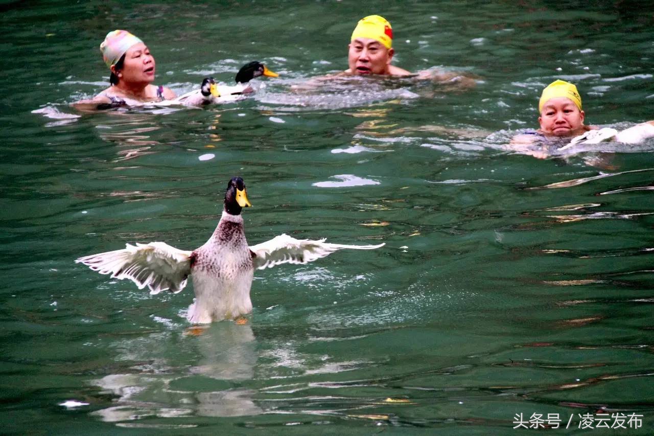 离广州最近广西少数民族特色村寨,广西特色民族村寨排行榜