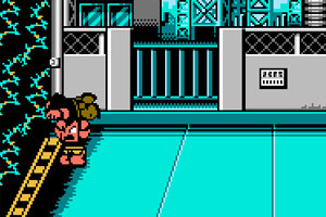 fc红白机游戏玛丽快打视频,fc红白机游戏南极企鹅