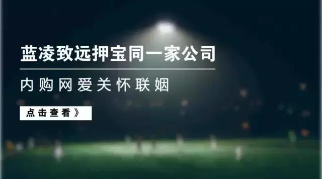 蓝凌致远押宝同一家公司，内购网爱关怀联姻