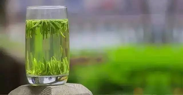 竹叶青与君子情,一杯竹叶青最新视频