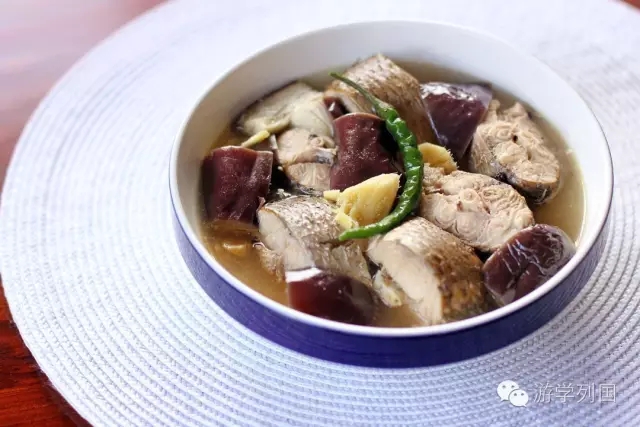 菲律宾游学物品攻略,菲律宾游学学英语