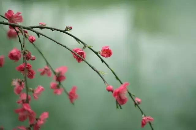 晨曦微光音乐,晨曦微光护理能淡斑吗