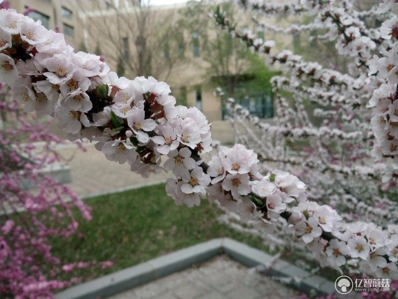 云狐a7黄金版,a7w评测