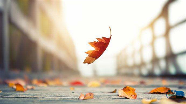 保守治疗就是姑息治疗吗,姑息治疗后会有奇迹吗