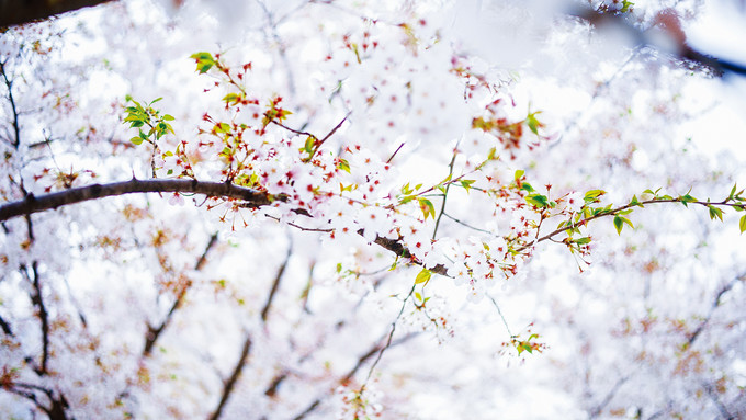 你和上帝的视角只差一台无人机!大连-旅顺