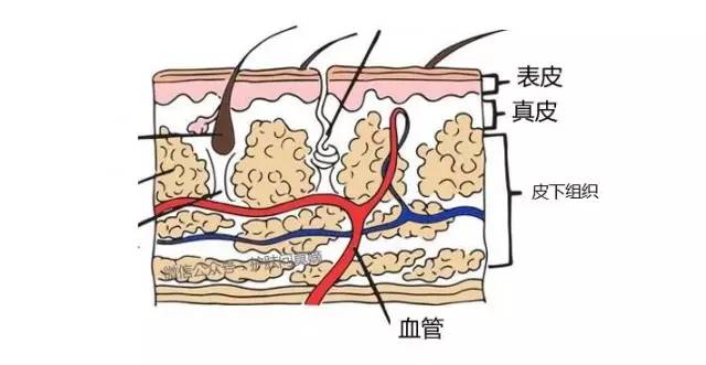 皮肤有血丝用什么护肤品,脸上有红痘印与血丝用什么护肤品