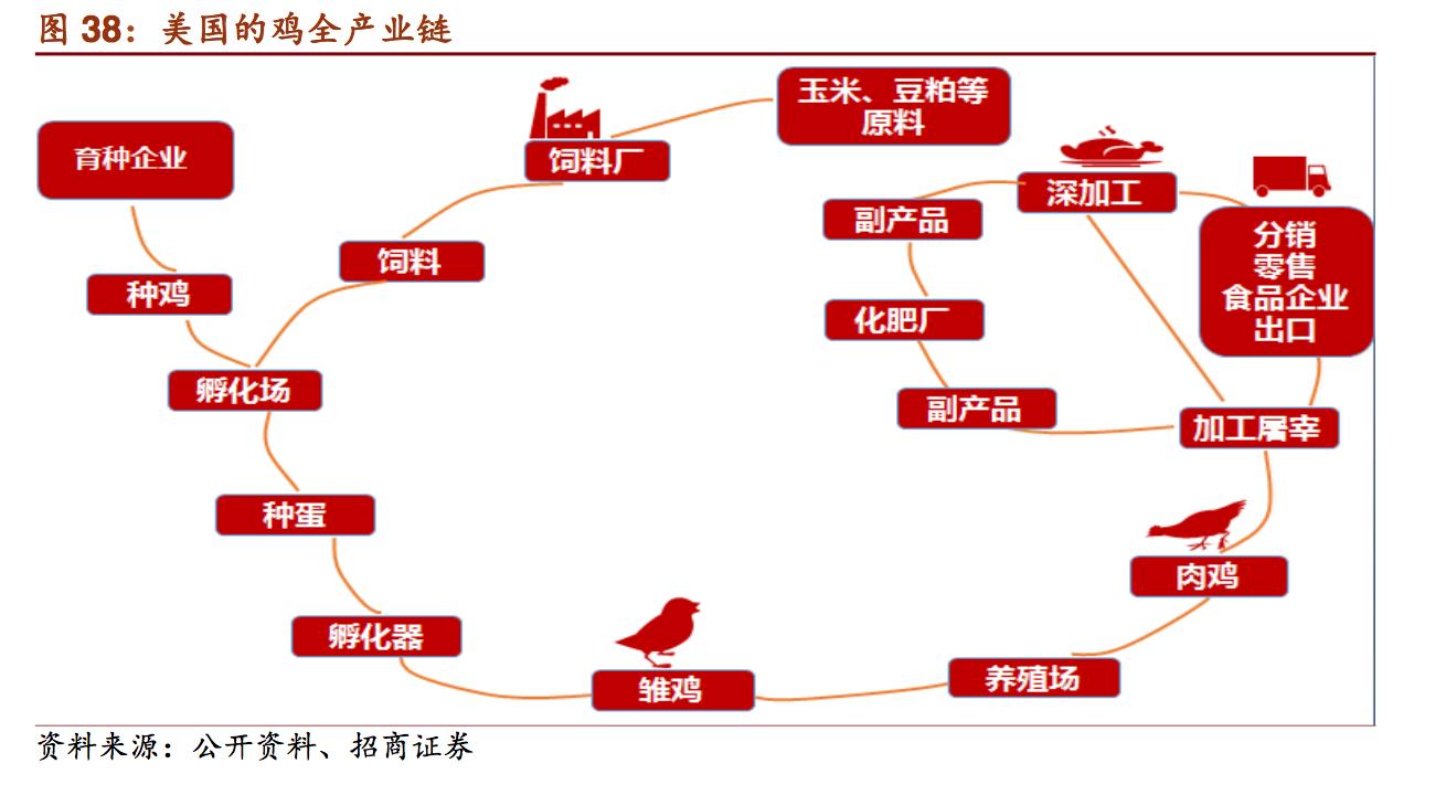新希望饲料发展,新希望饲料深度分析