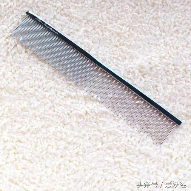 爱妖经｜赛场猫咪同款用品，主子们都拒绝不了的诱惑