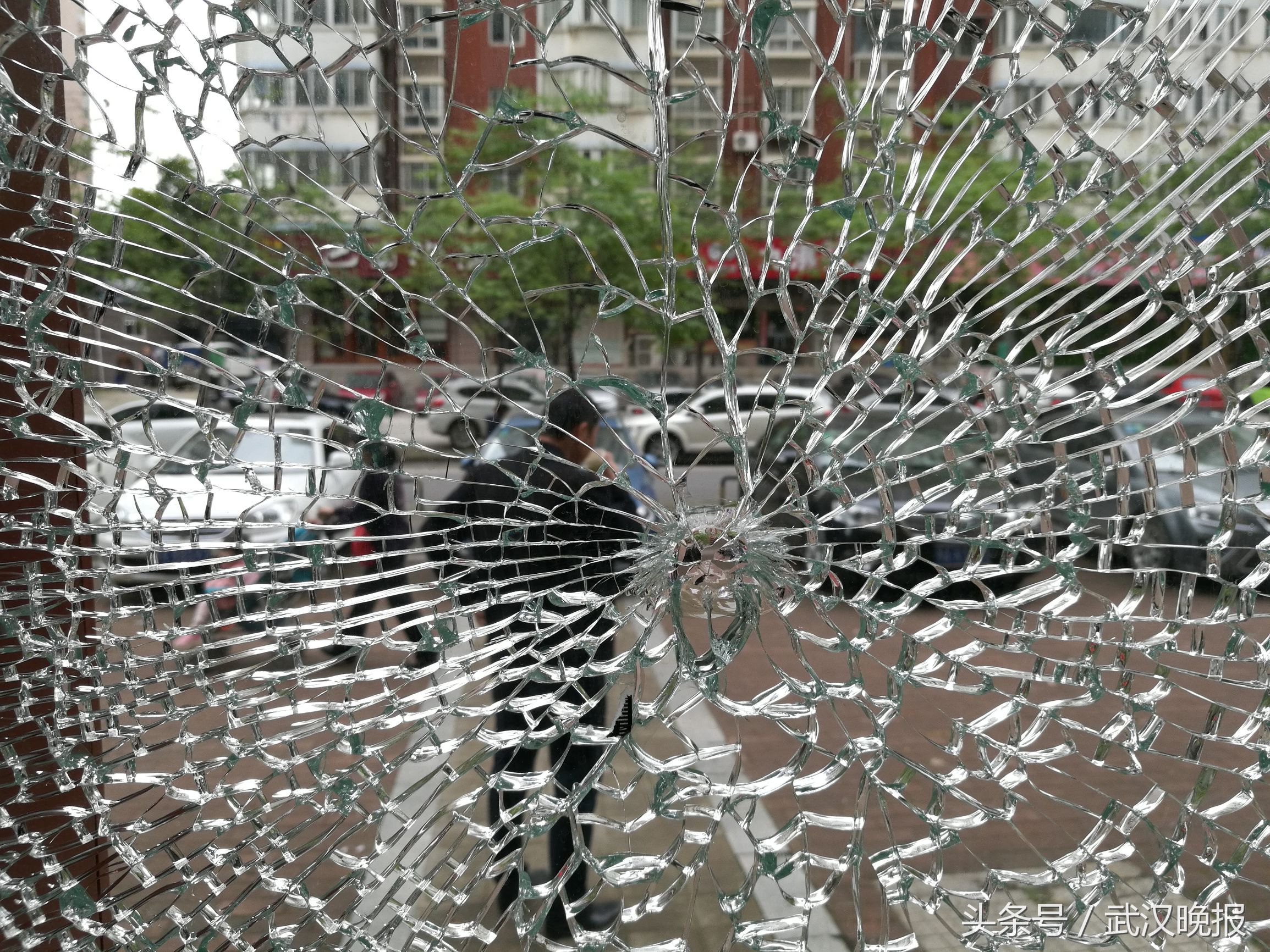 损失过万！武昌一中医养生馆开业不足一月昨天凌晨遭人破坏