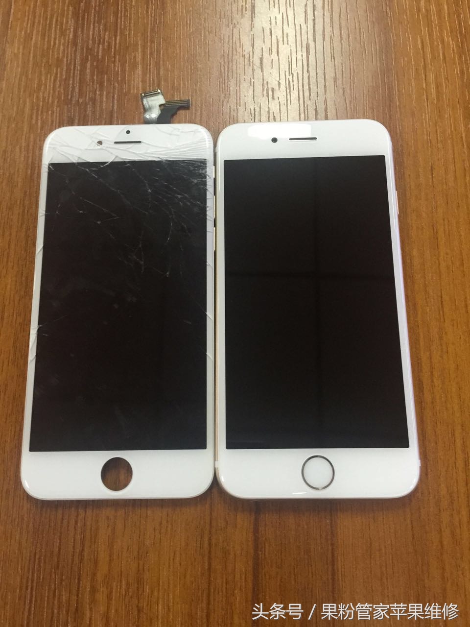 大连果粉管家,果粉管家清灰