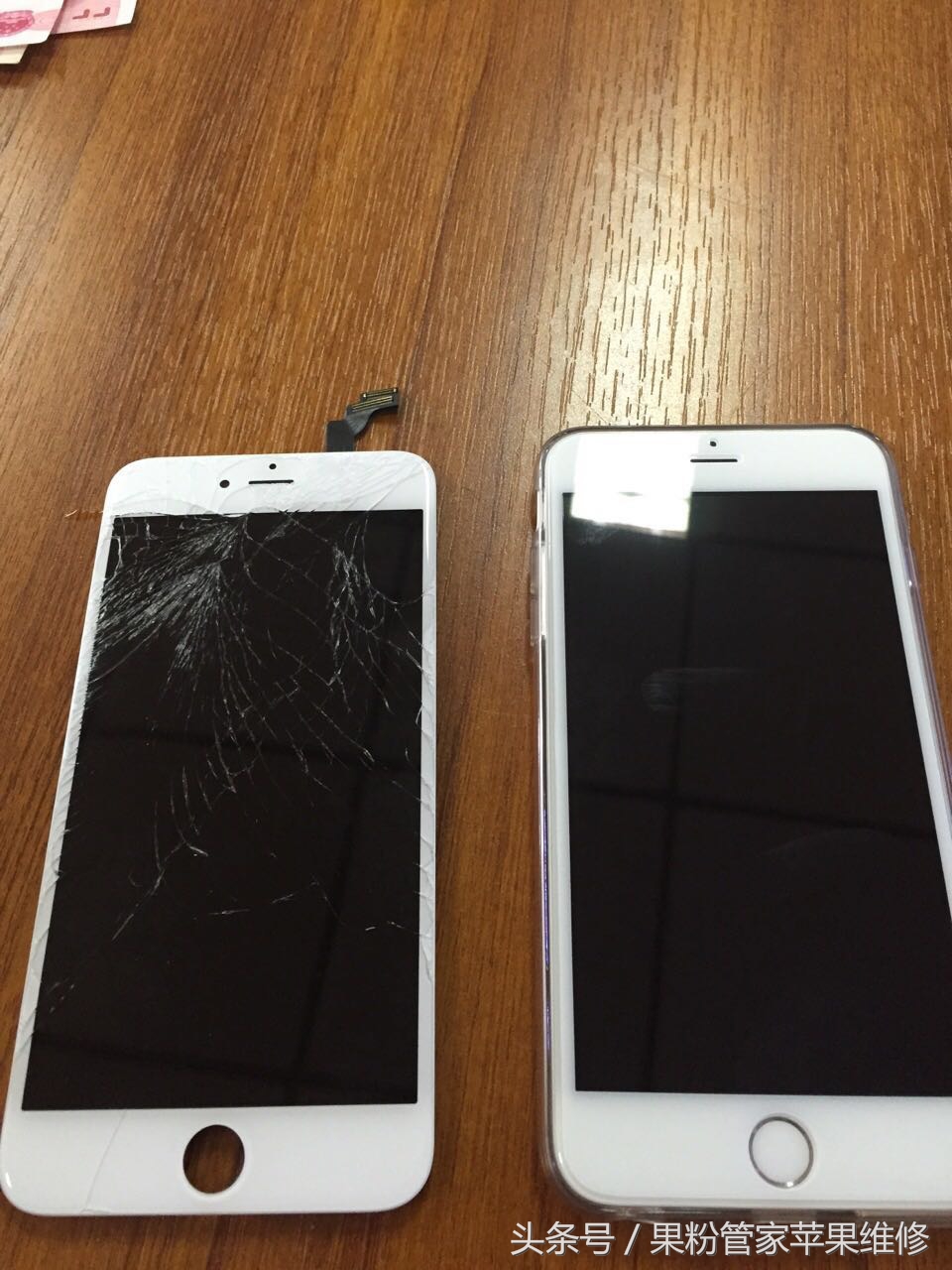 大连果粉管家,果粉管家清灰