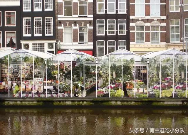 旅行必看|它是全球唯一的水上鲜花市场,买花逛吃两不误!