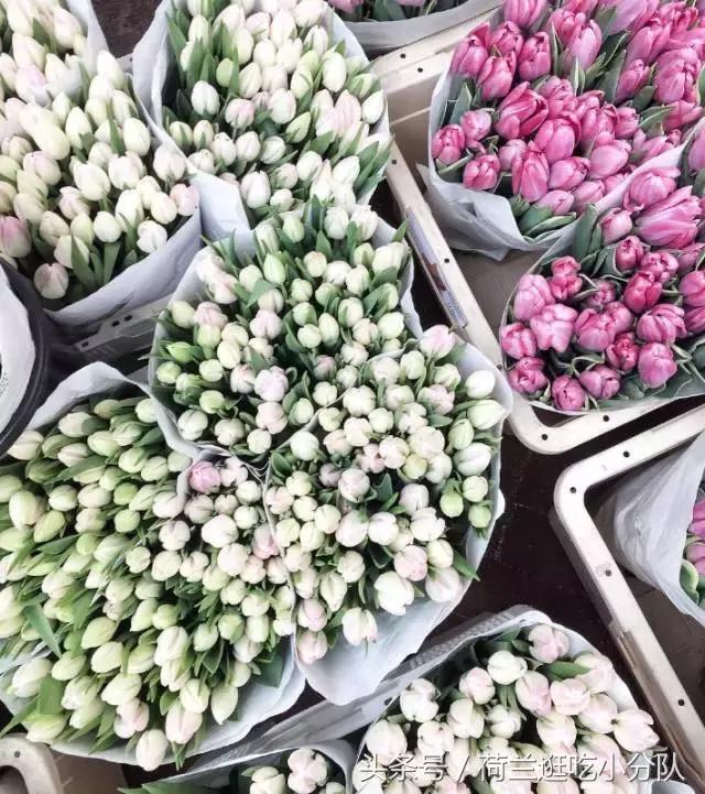 旅行必看|它是全球唯一的水上鲜花市场,买花逛吃两不误!