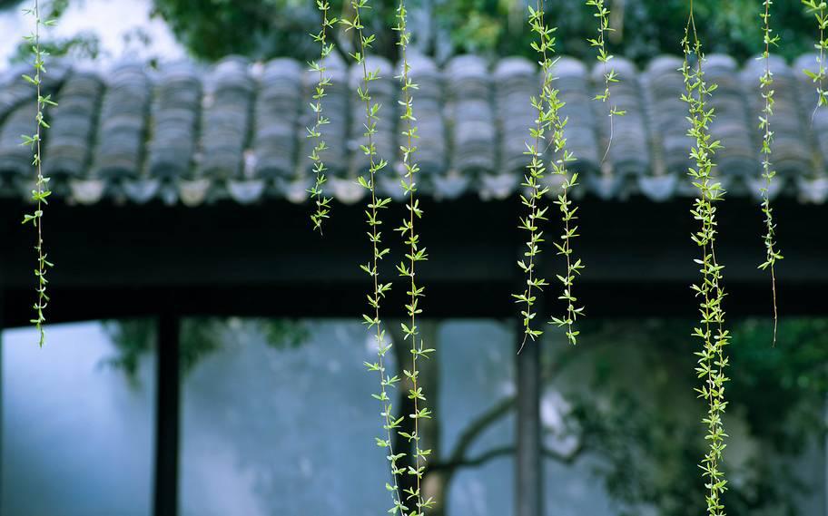 你有冷香丸吗？你还在谷雨过敏吗？