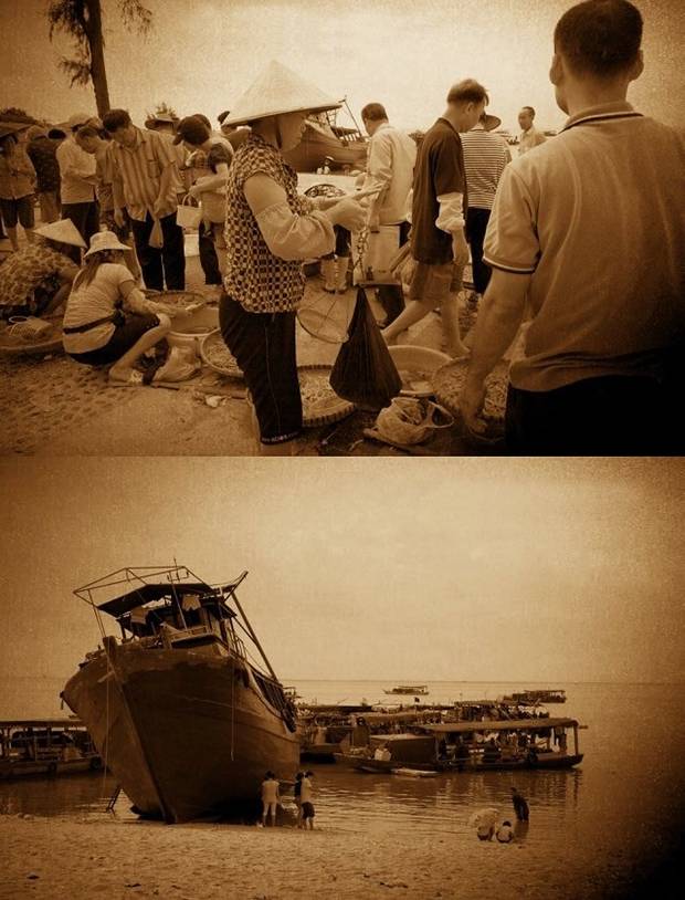 2900万年前的螃蟹,3500万年前的石头螃蟹