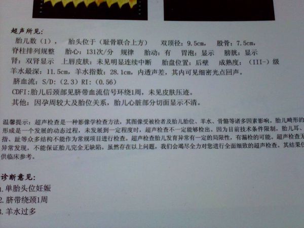 如何看b超单结果详解,教你如何轻松看懂b超单