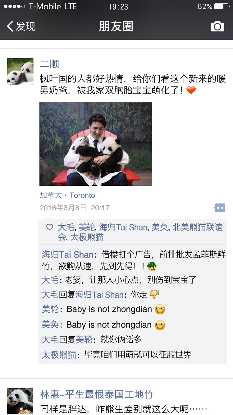 熊猫也爱晒朋友圈，最后一只叫太极的熊猫亮了