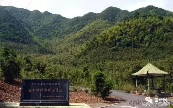 董雪华制笛视频,笛子制作师董雪华