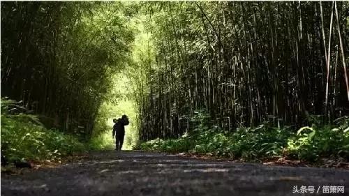 董雪华制笛视频,笛子制作师董雪华