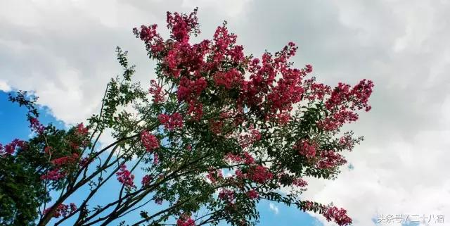 茑舍｜明清古街里的民宿，在这里一分钟有80秒长