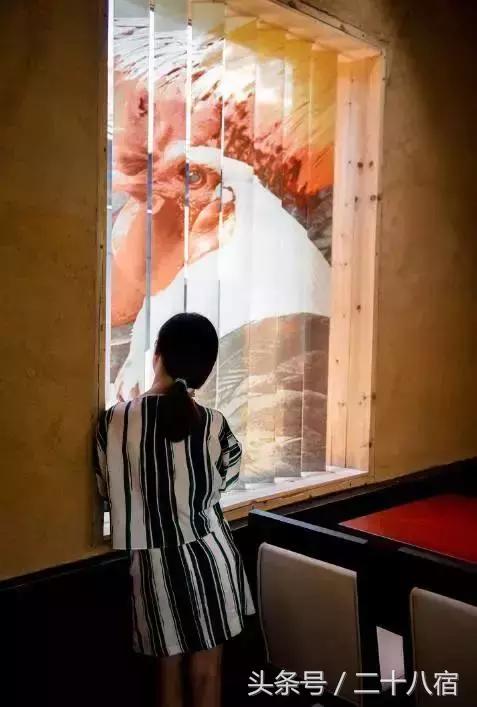 茑舍｜明清古街里的民宿，在这里一分钟有80秒长