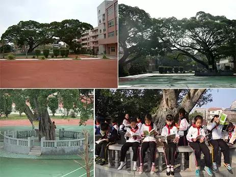 厦门市同安区进修学校附属小学,同安区教师进修附小