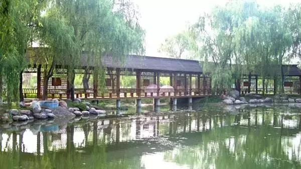 国家花木博览园旅游攻略,花木博览园一日游