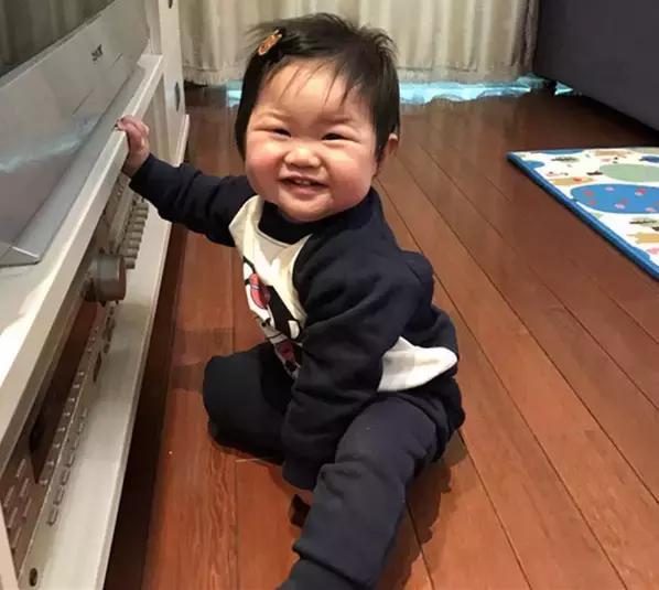 vape驱蚊器原理,日本vape驱蚊神器电池