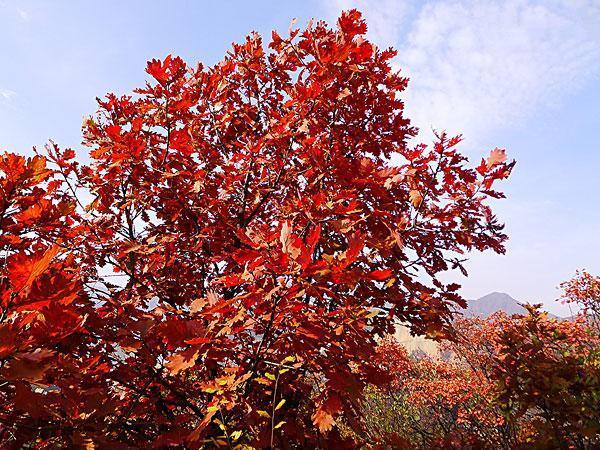 对不起我要去天津了,对不起我要去西安了