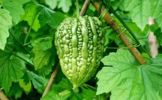 对不起我要去天津了,对不起我要去西安了