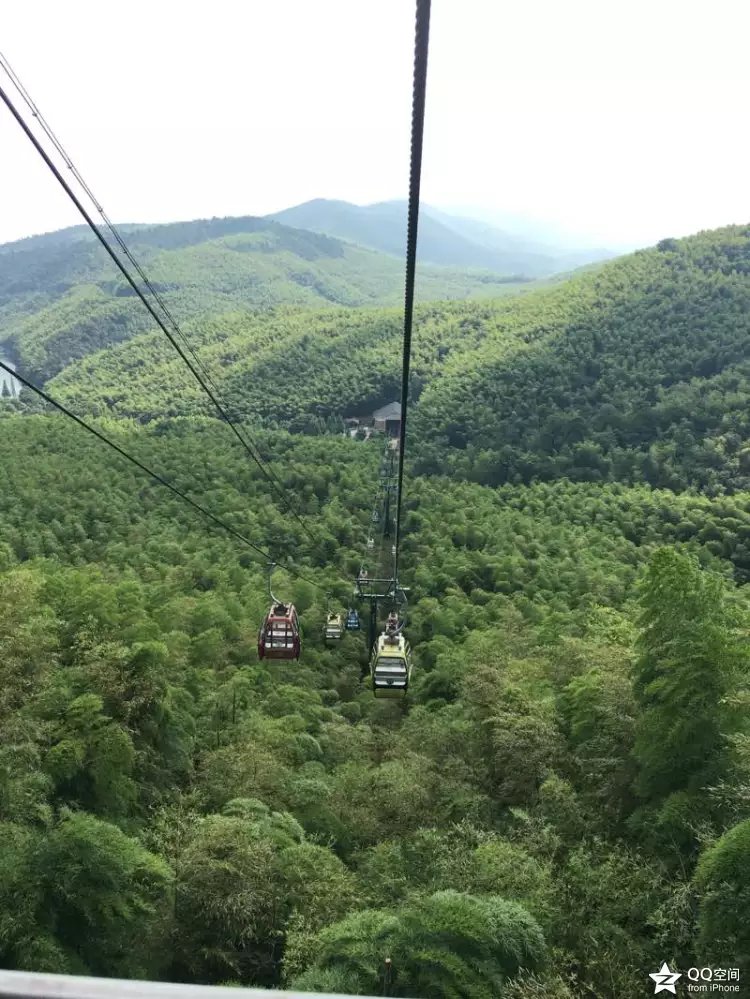 宜兴江南竹海,大美宜兴竹海