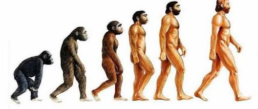 人终究会死亡到底是为了什么,人为什么终究会死去呢