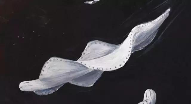 这个闯入过电视剧的UFO颠覆了人类的三观，但真相却简单得可笑