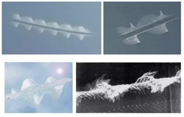 这个闯入过电视剧的UFO颠覆了人类的三观，但真相却简单得可笑