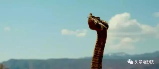 敢让这位国宝级女神上山下水也只有这位张艺谋的老朋友了