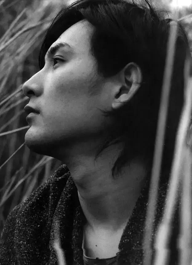 松田龙平年轻时照片,松田龙平渣男