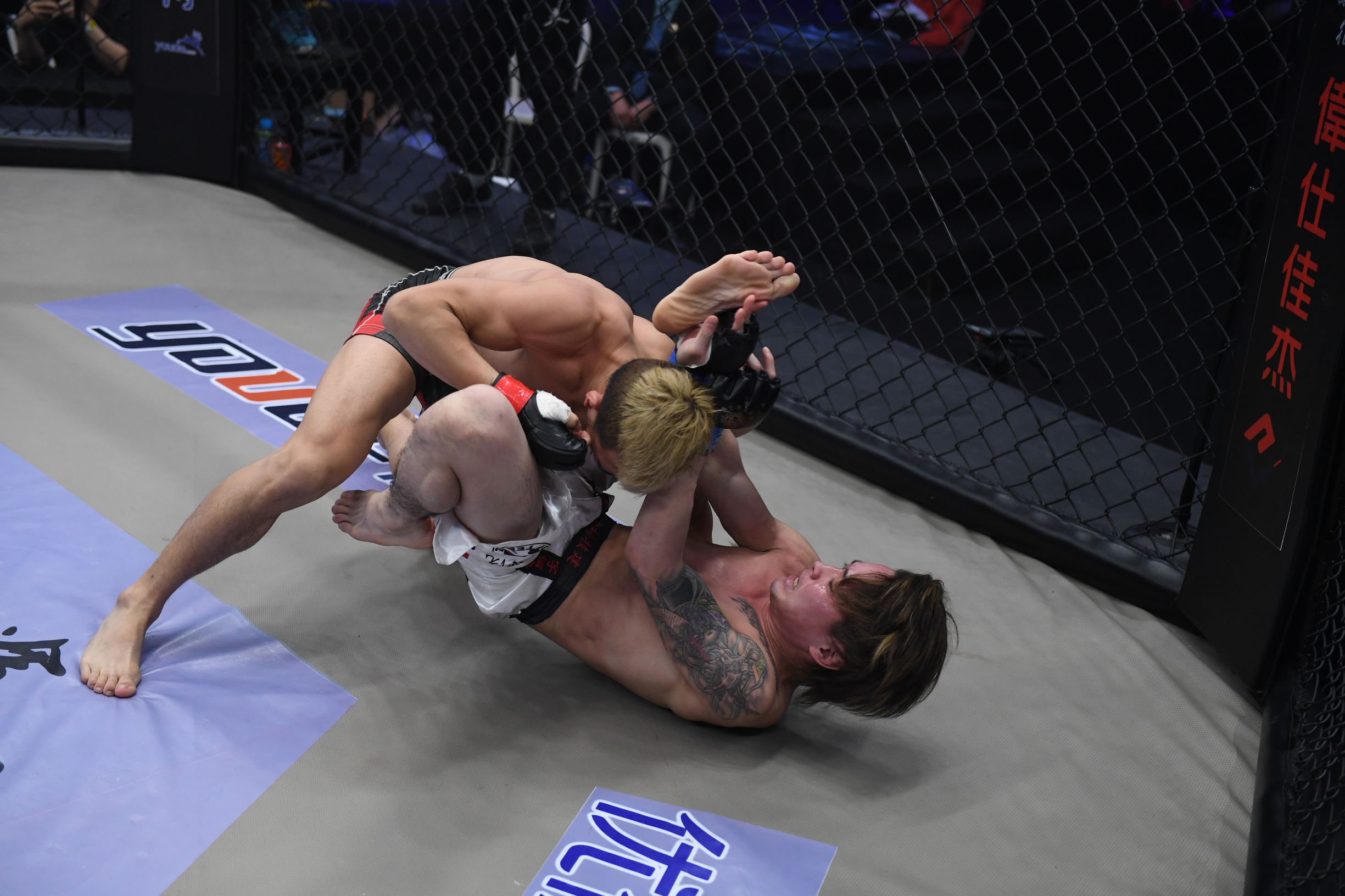 要不要这么狠，疯子杨森居然把日本选手打毁容了！