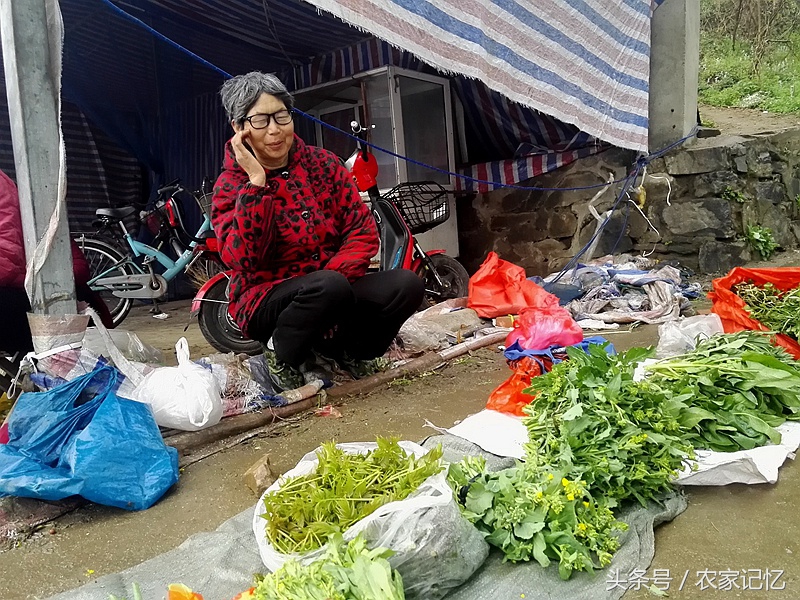 农村老人买野菜,农村卖的野菜