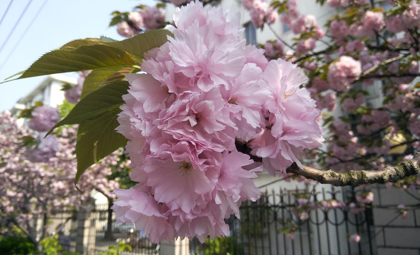 努比亚z17刷什么系统比较好,努比亚z17旗舰开箱视频