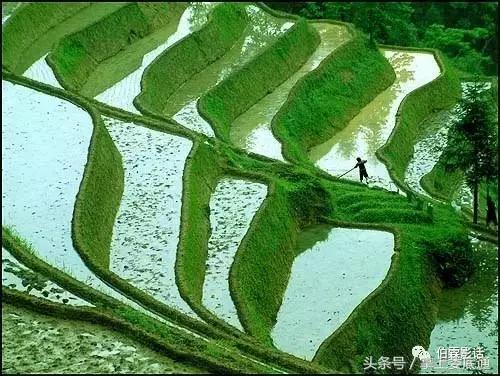 娄底摄影师推荐,湖南最美摄影师