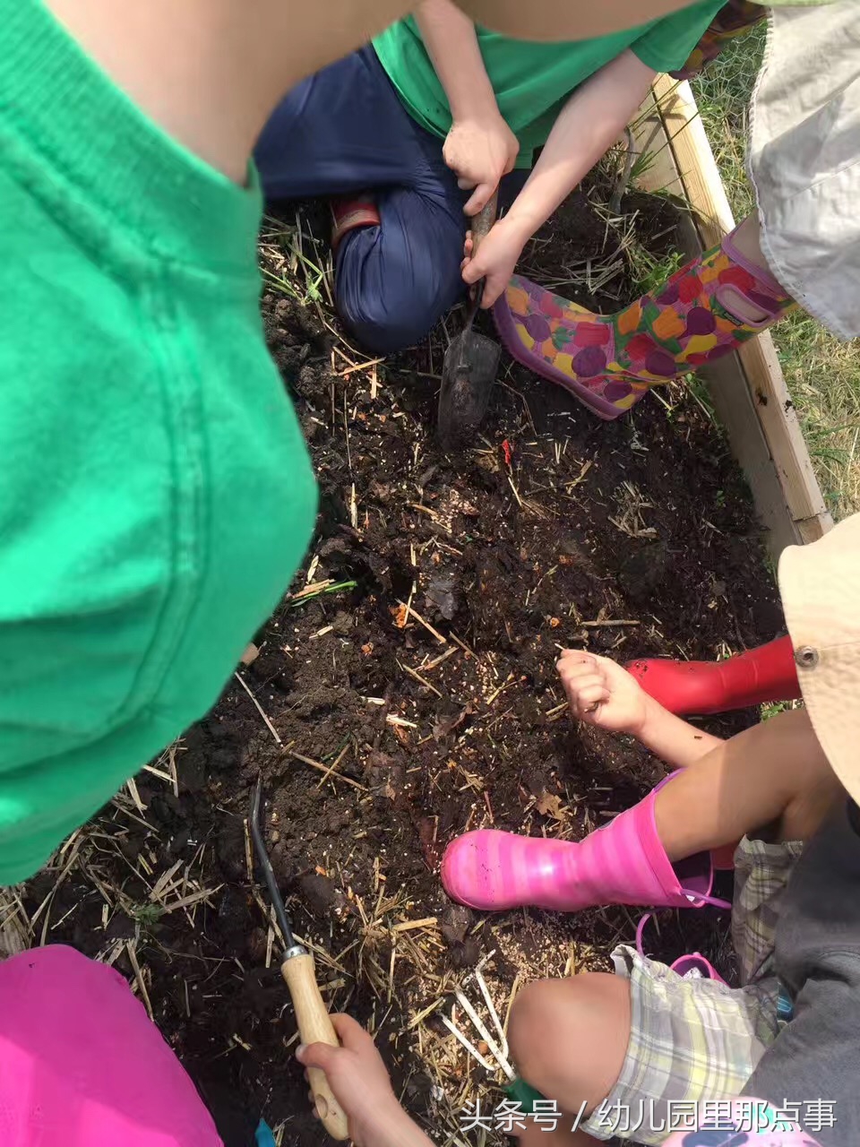 国外有名的自然生态幼儿园,国外的森林幼儿园