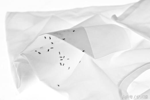 S·DEERX朱赢椿联名设计发布