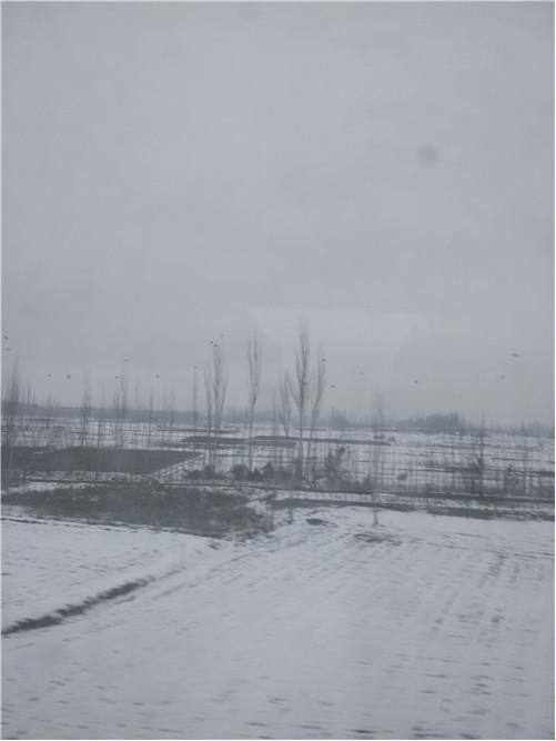 和田玉游记l看过纯羊毛鞋垫吗？喜洋洋美羊羊都有