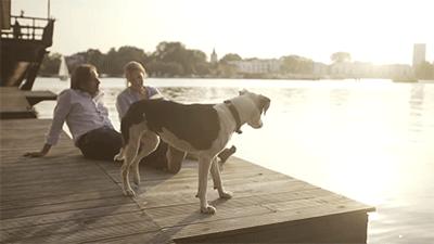 与其海岛晒成狗，不如坐拥江南最美私家湖景